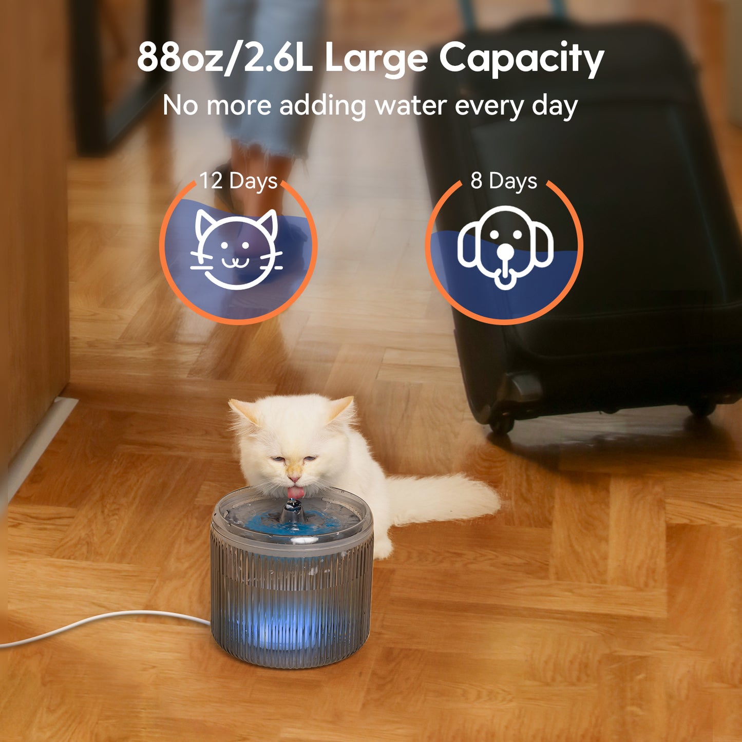 Cat Water Fountain with LED Light - 88oz/2.6L No Pawblems Ultra Quiet Pet Water Fountain