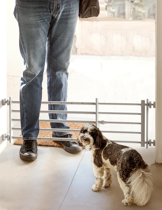 No Pawblems Short Dog Gate | 29-46" W small Dog Gate for Small Dogs Puppy